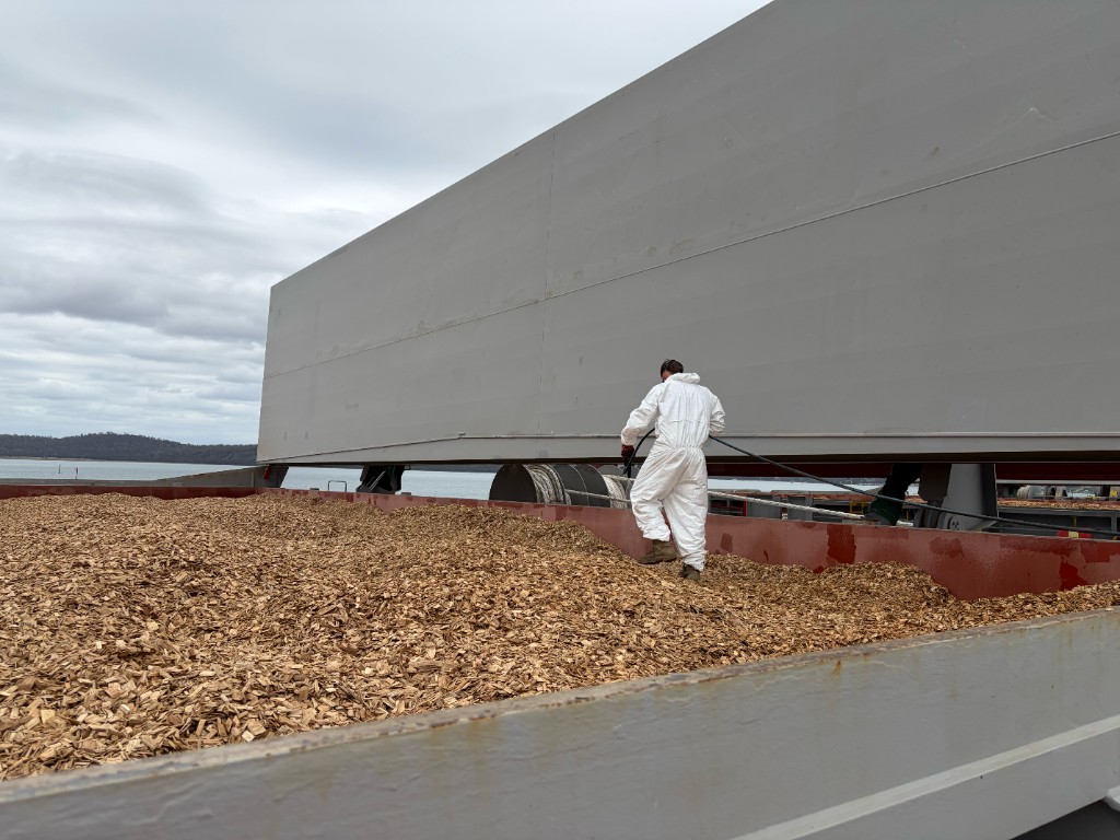 Fumigator laying gas distribution lines across a woodchip cargo hold