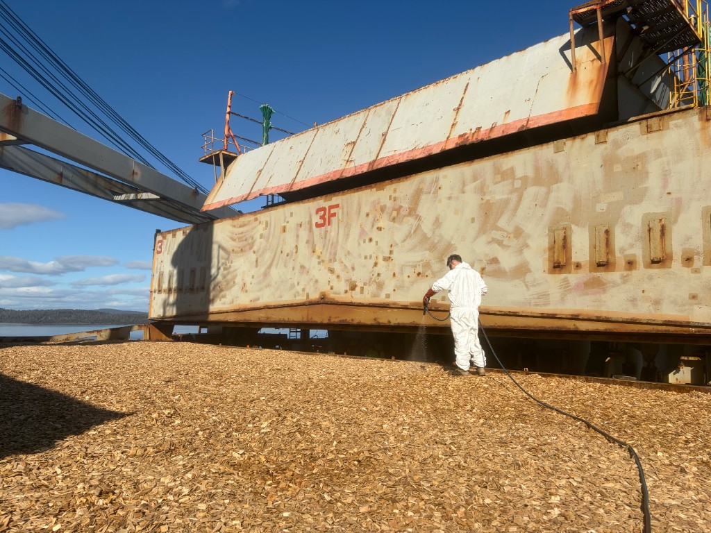 TFS fumigator treating a bulk woodchip cargo hold at the wharf